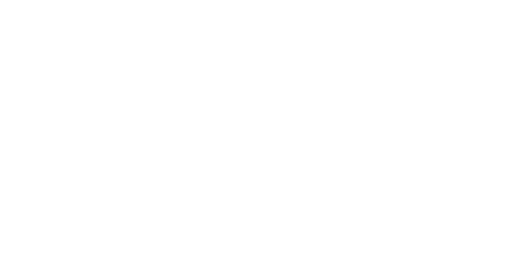 Feminist Women's Health Center Leading Educating Advocating Logo