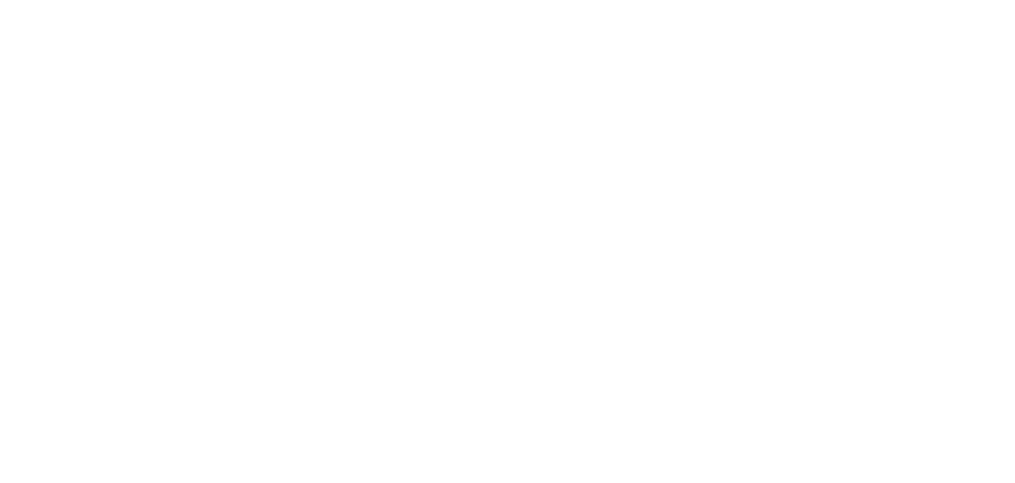 Internships Feminist Center Atlanta Georgia